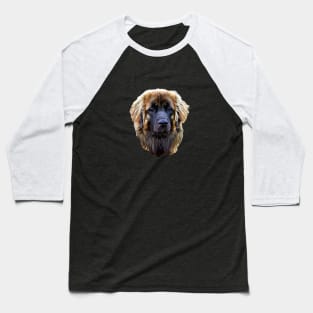 Leonberger Stunning Dog Baseball T-Shirt